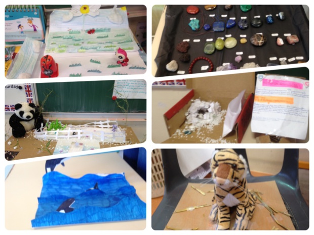 Exposés en cm2 Exposés en cm2