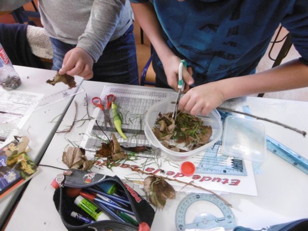 Expériences scientifiques avec Edwige Expériences scientifiques avec Edwige