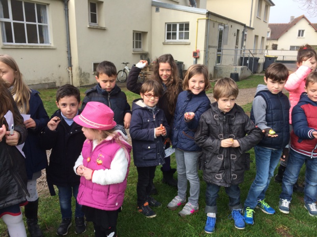 Chasse aux oeufs Chasse aux oeufs