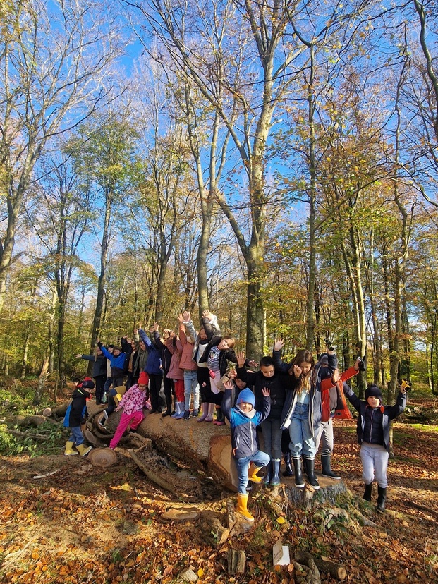 Sortie à la forêt de Cerisy Sortie à la forêt de Cerisy