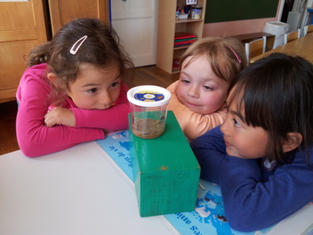 Qu'est-ce donc ? Qu'est-ce donc ?