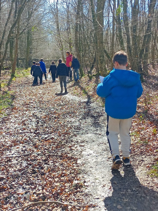 Sortie en forêt de Cerisy Sortie en forêt de Cerisy