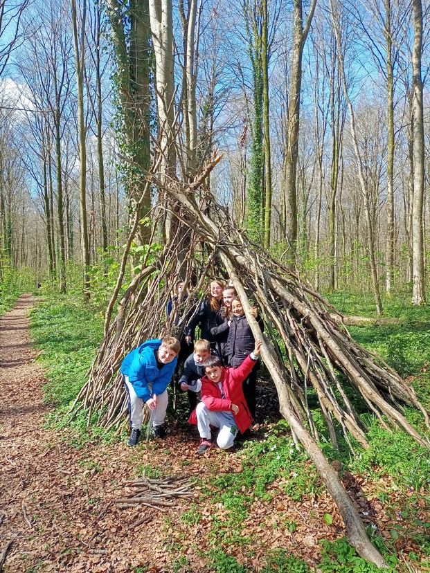 Sortie en forêt de Cerisy Sortie en forêt de Cerisy