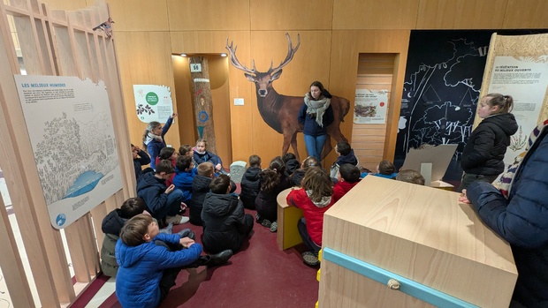 Sortie en forêt de Cerisy Sortie en forêt de Cerisy