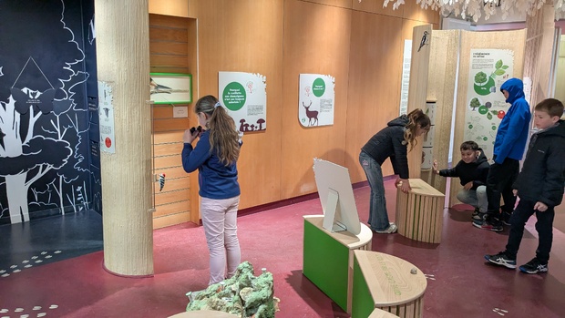 Sortie en forêt de Cerisy