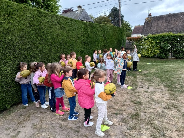 Rugby en MS Rugby en MS