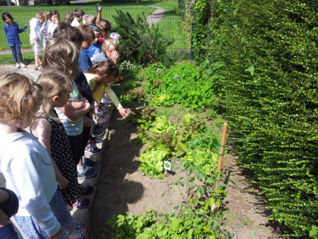 Dégustation ! Dégustation !