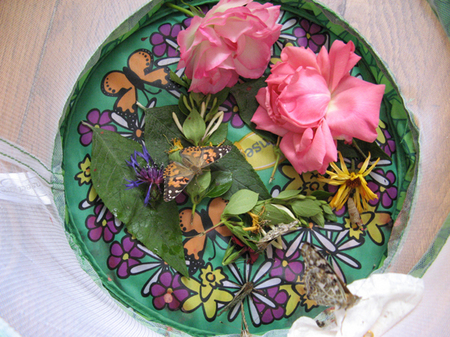 Le grand jour est arrivé ! Le grand jour est arrivé !