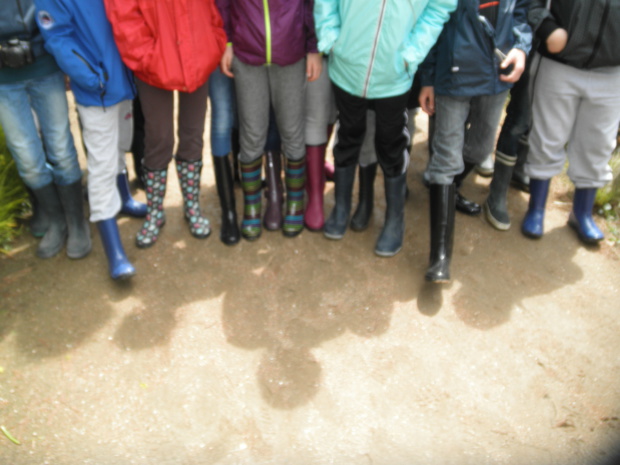 Deuxième journée sur l'île.... Deuxième journée sur l'île....