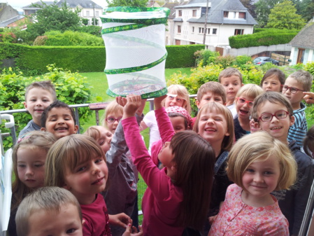 L'envol de nos papillons L'envol de nos papillons