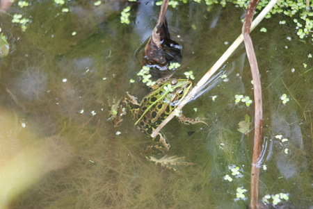 Escapade au canal Escapade au canal