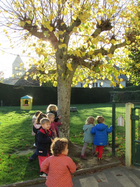 Rentrée d'automne