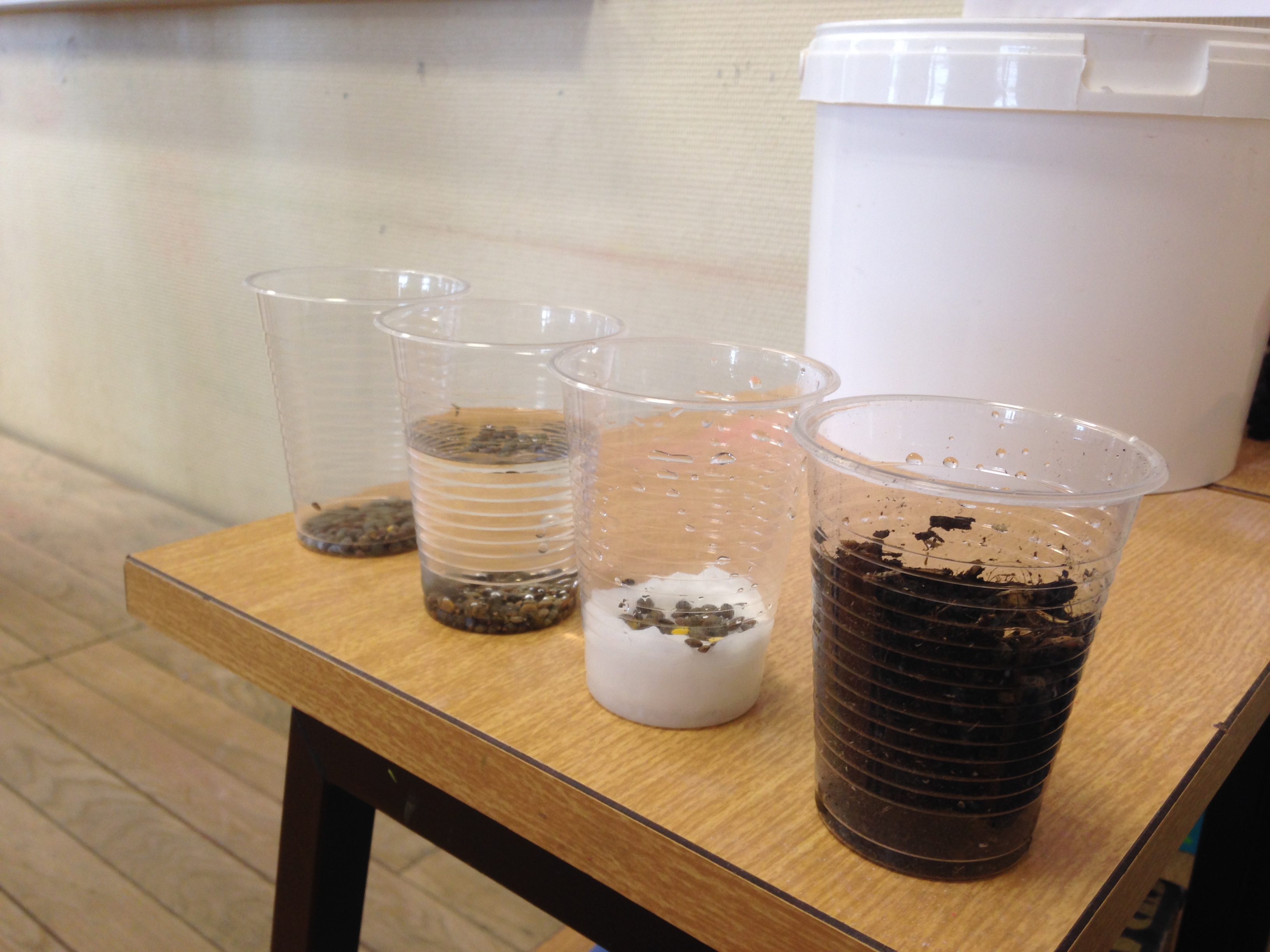 La démarche scientifique La démarche scientifique