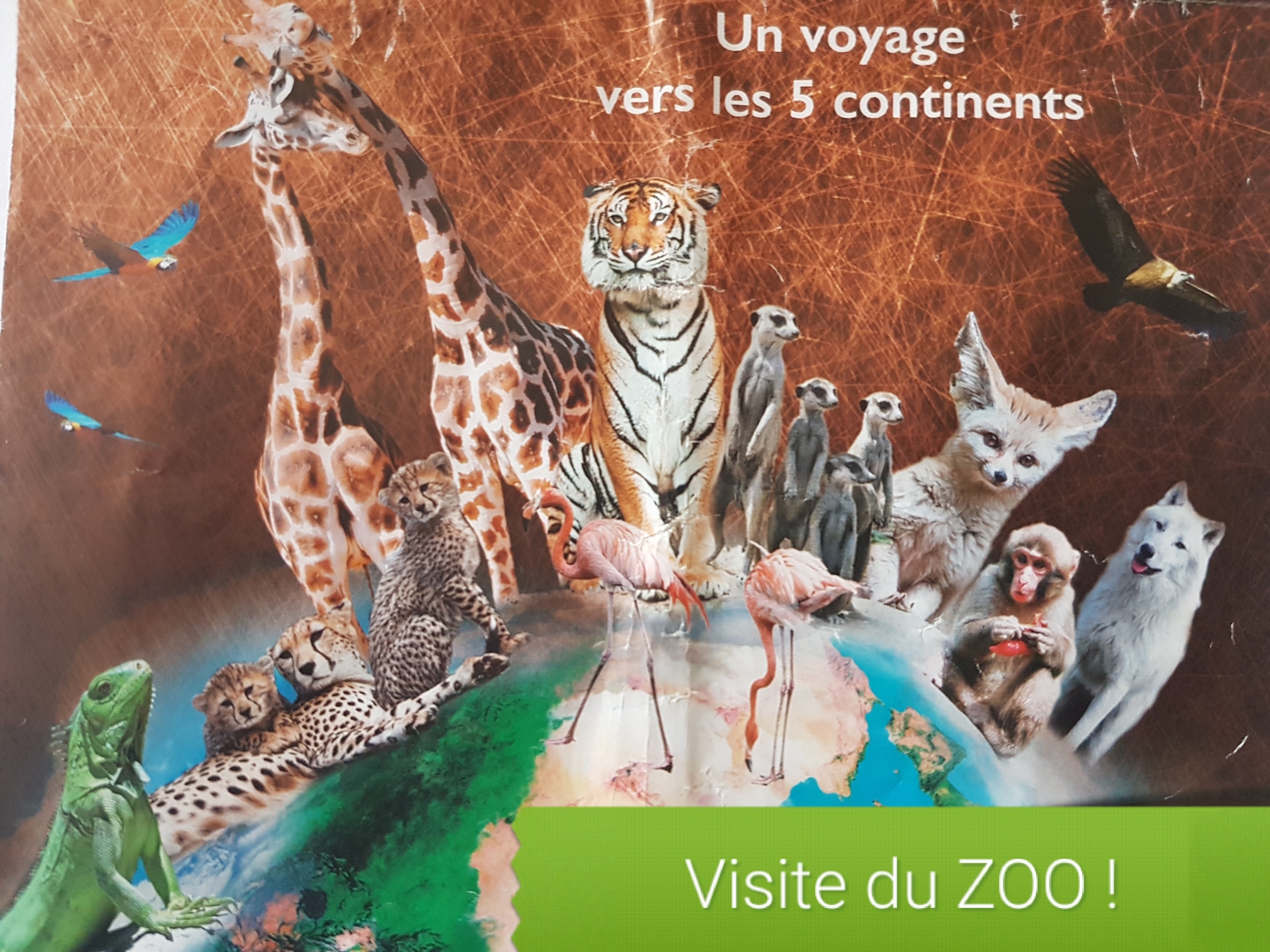 Visite du zoo de Jurques des classes de MS.GS et CE2.CM1 Visite du zoo de Jurques des classes de MS.GS et CE2.CM1