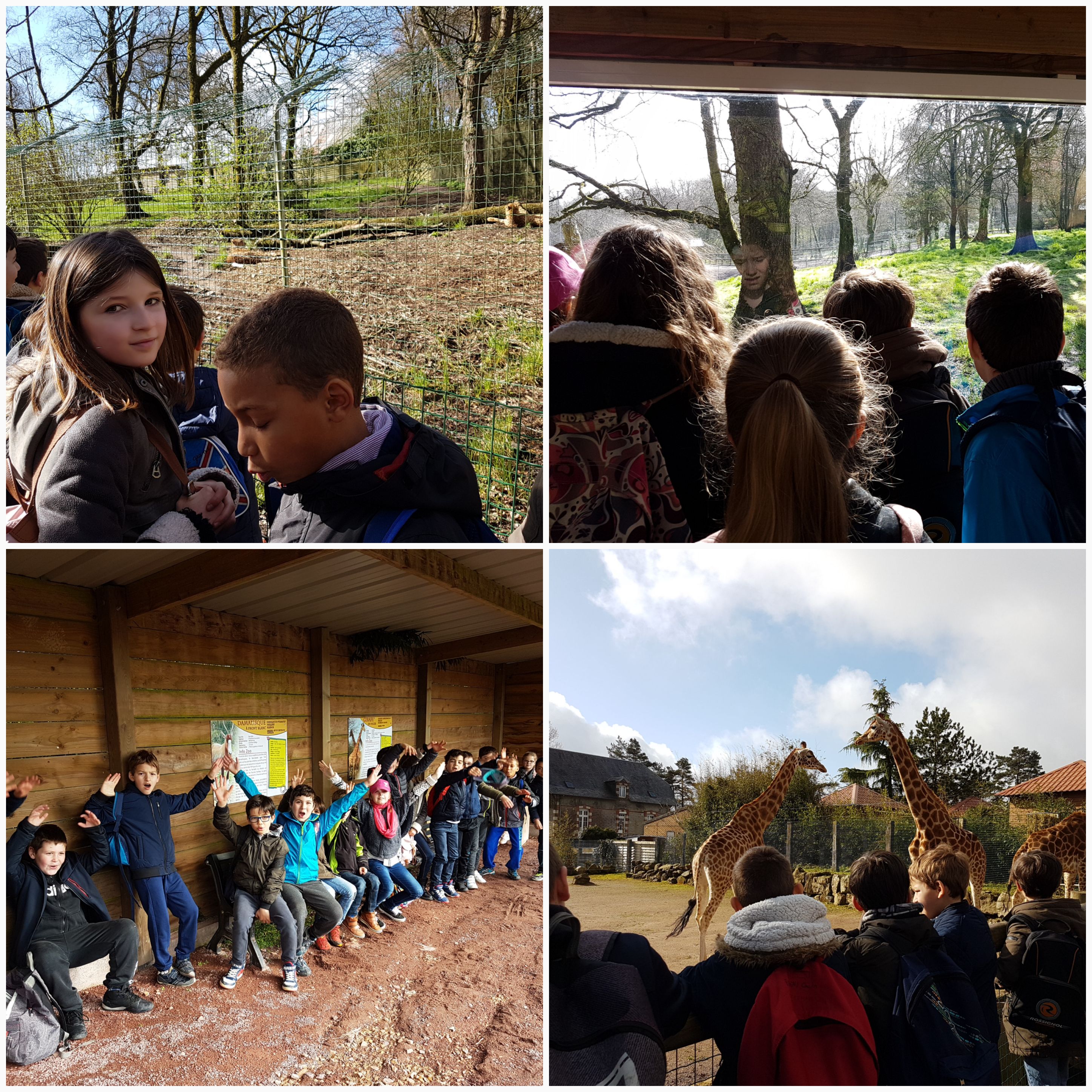 Visite du zoo de Jurques des classes de MS.GS et CE2.CM1 Visite du zoo de Jurques des classes de MS.GS et CE2.CM1