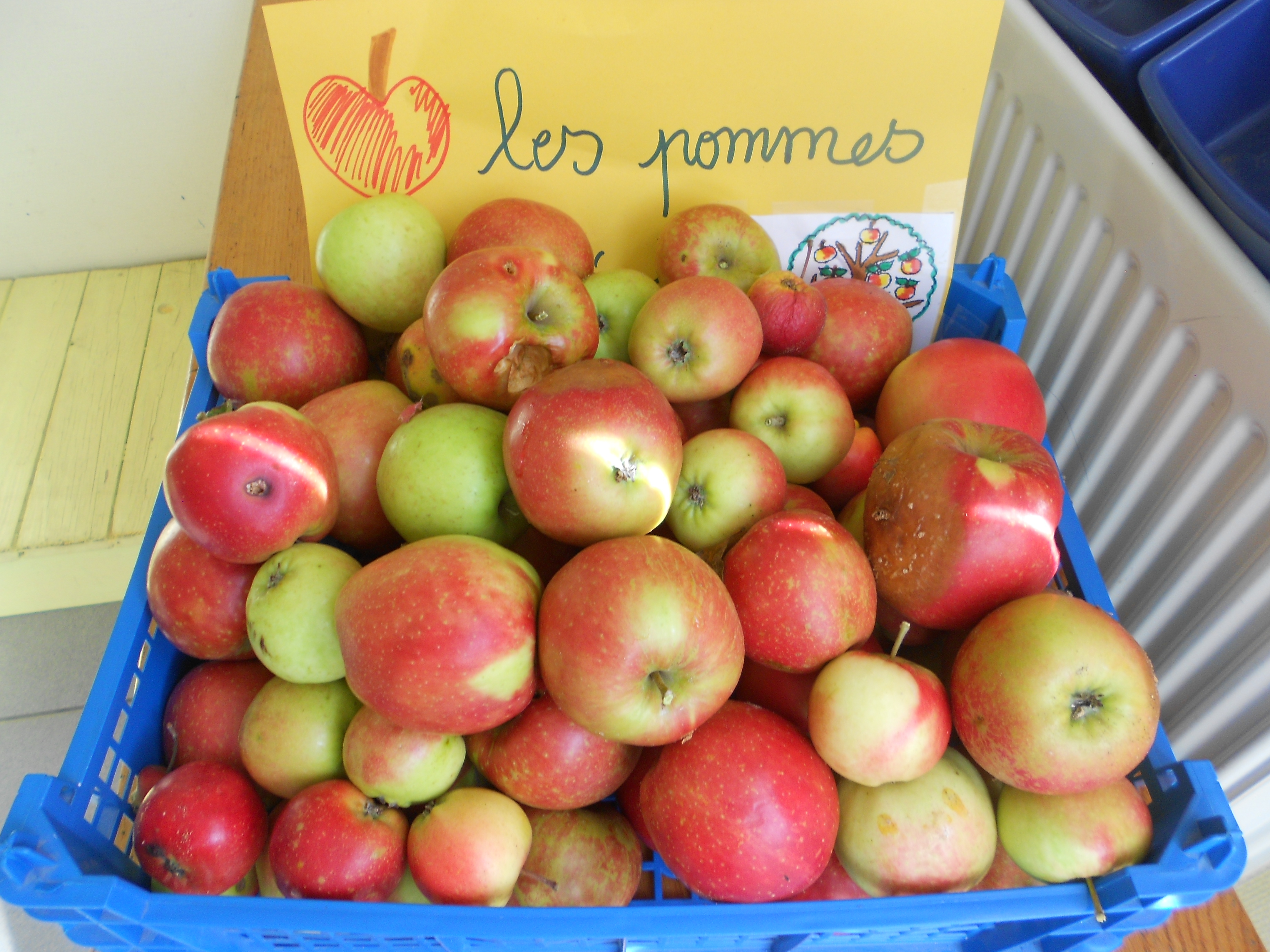 Les pommes en PS MS Les pommes en PS MS