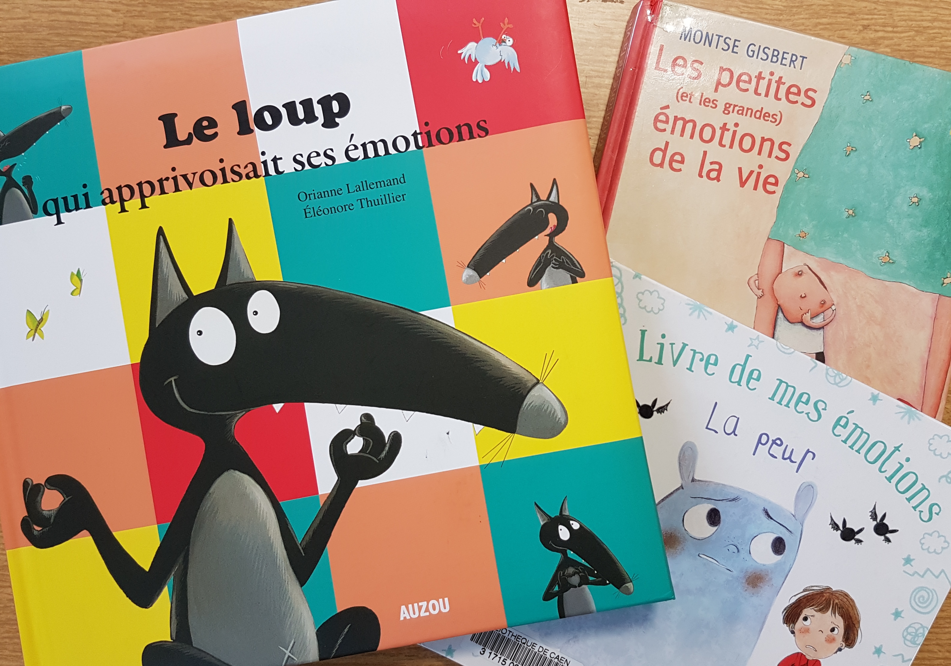 Les MS-GS apprivoisent leurs émotions ! Les MS-GS apprivoisent leurs émotions !