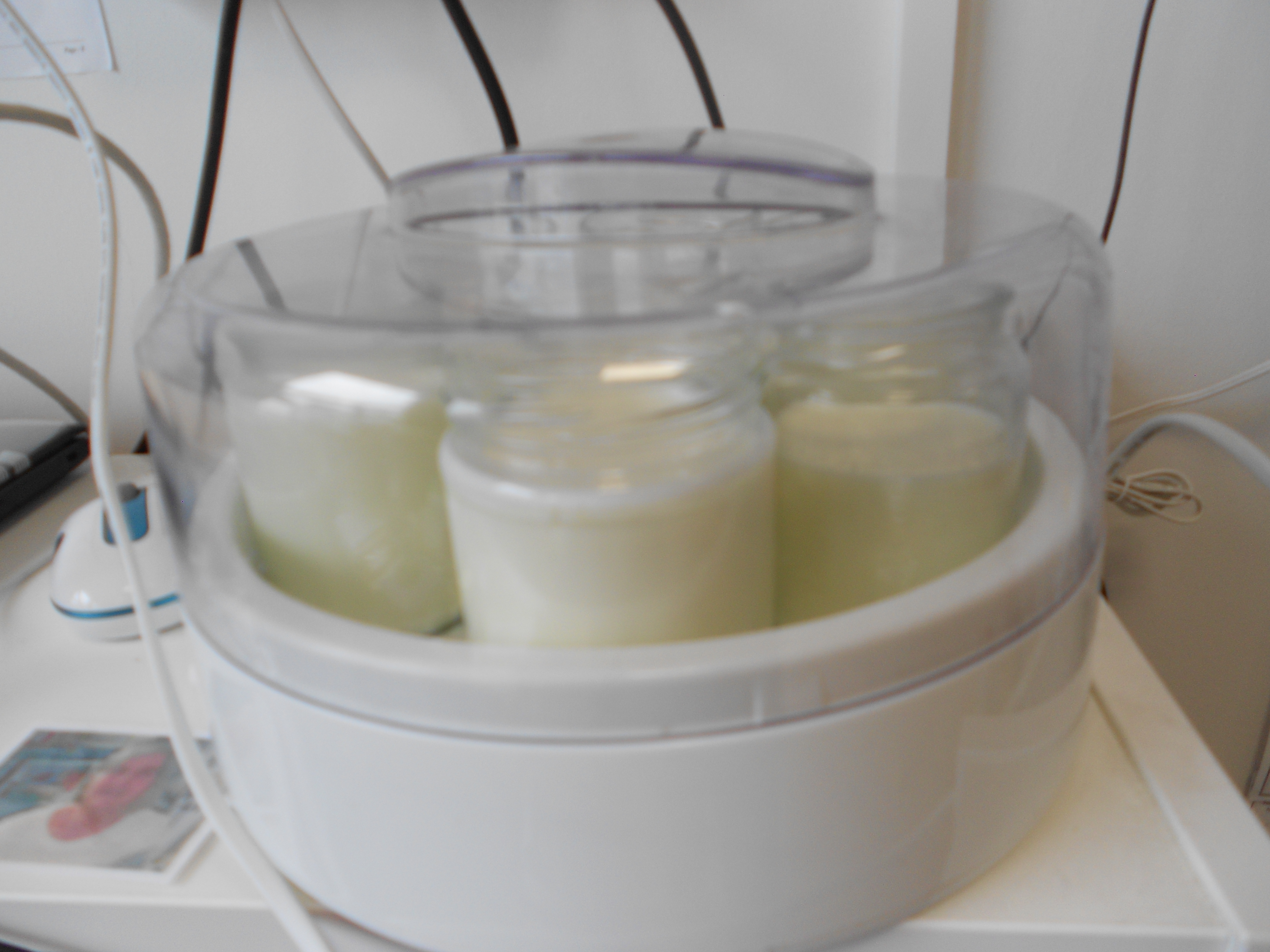 Visite de la ferme Vergy puis fabrication de yaourts ! Visite de la ferme Vergy puis fabrication de yaourts !