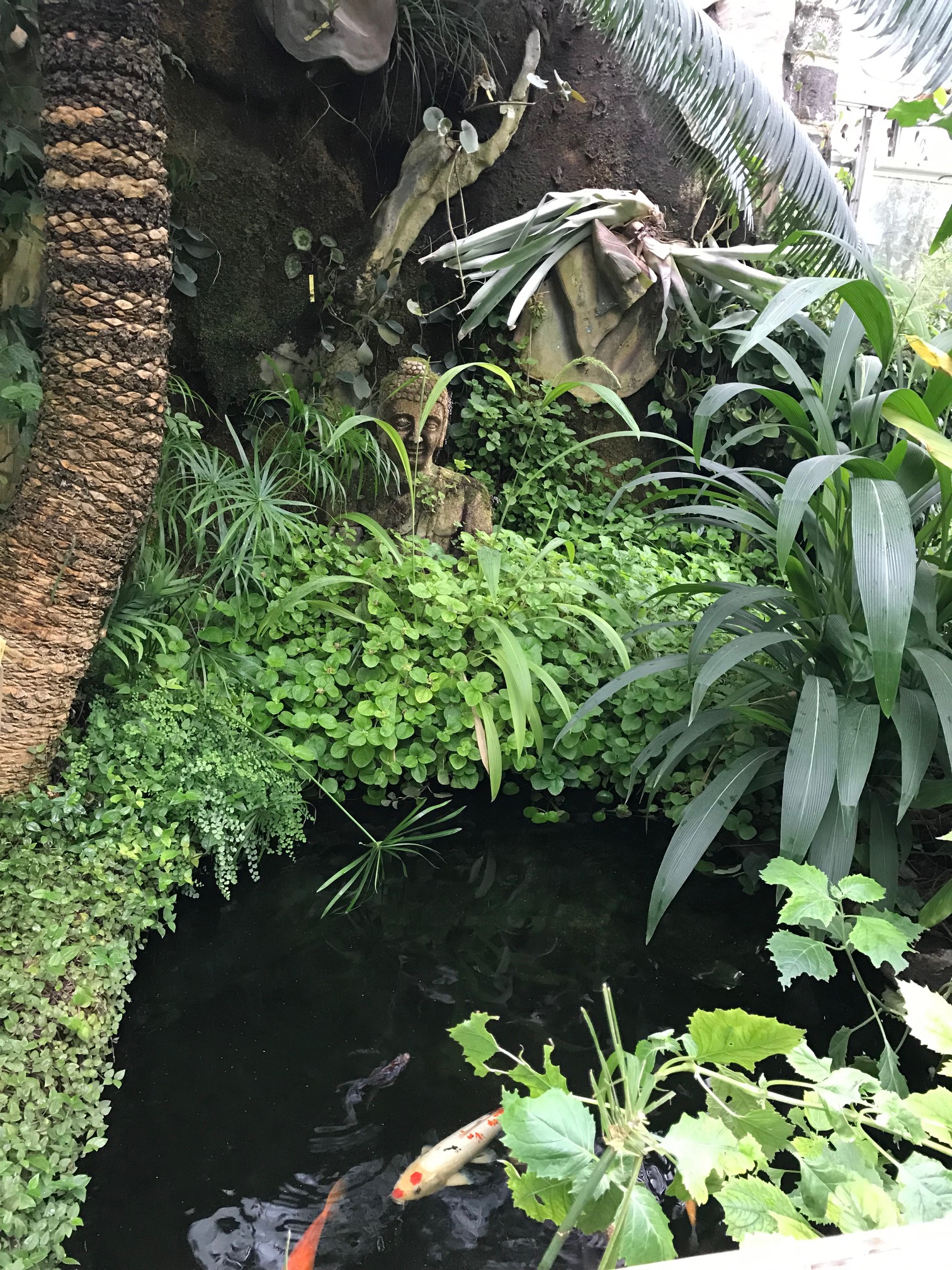 Sortie au jardin des plantes Sortie au jardin des plantes