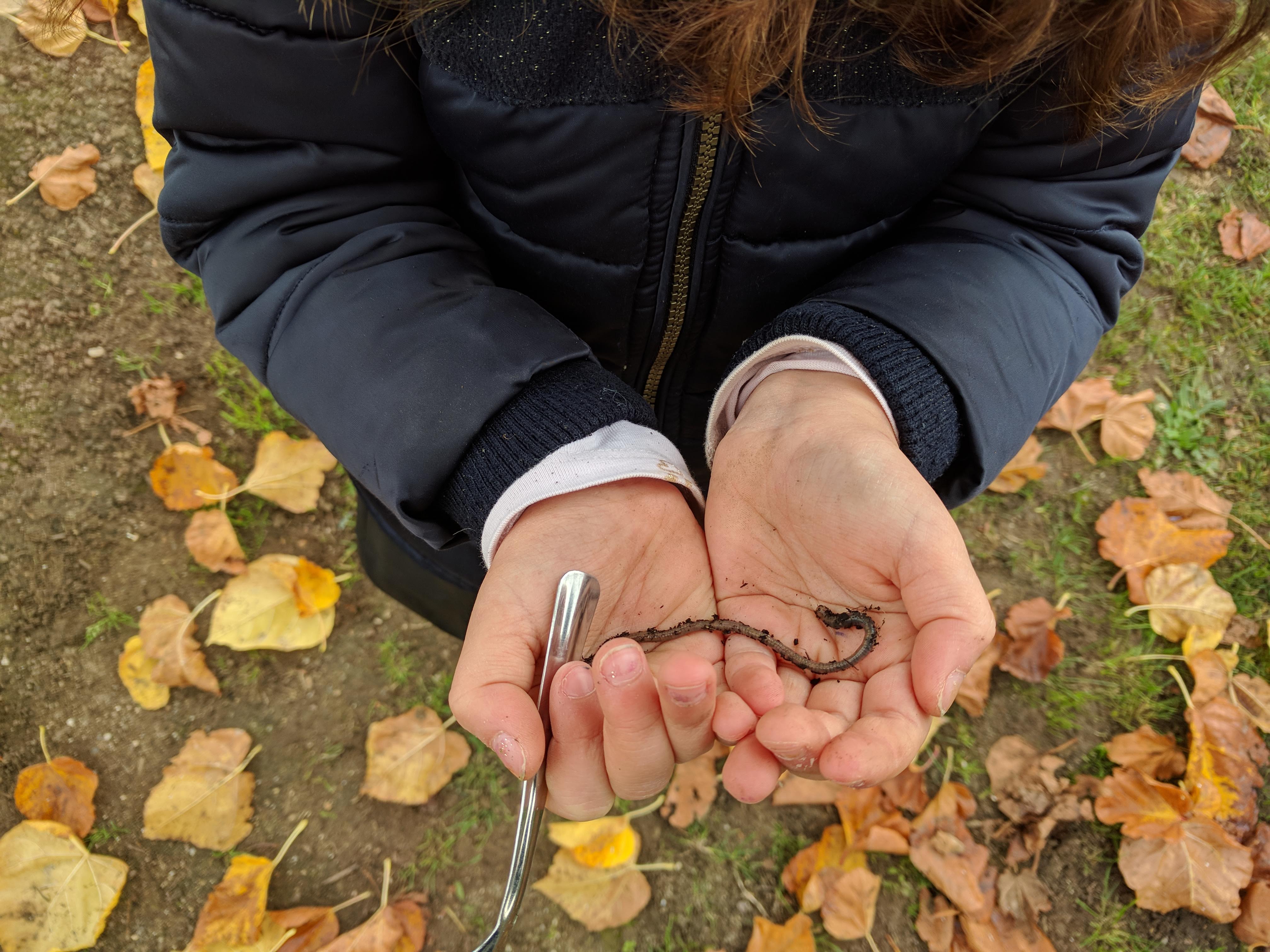 A la rencontre des petites bêtes... A la rencontre des petites bêtes...