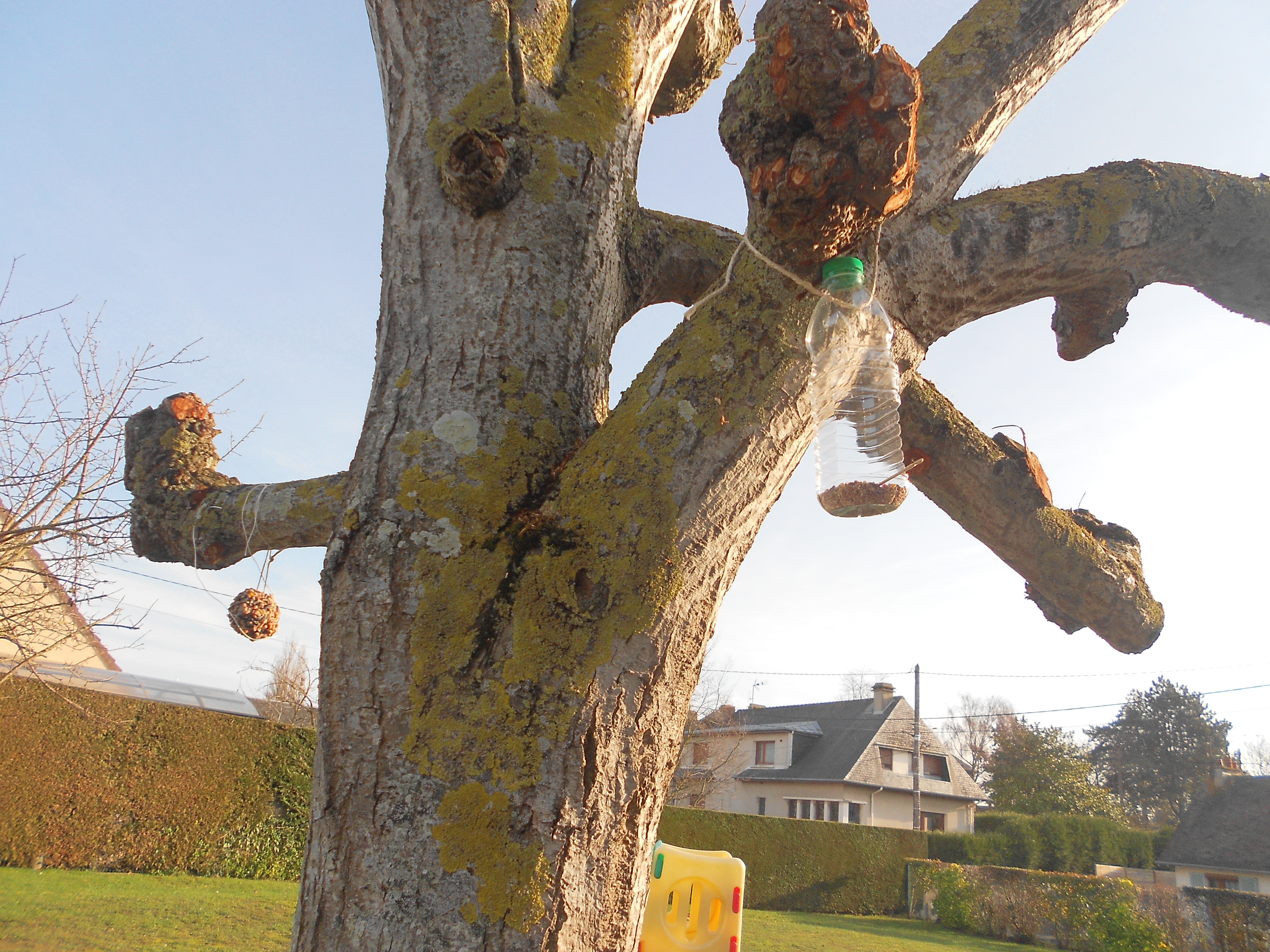 Des mangeoires dans le jardin des maternelles