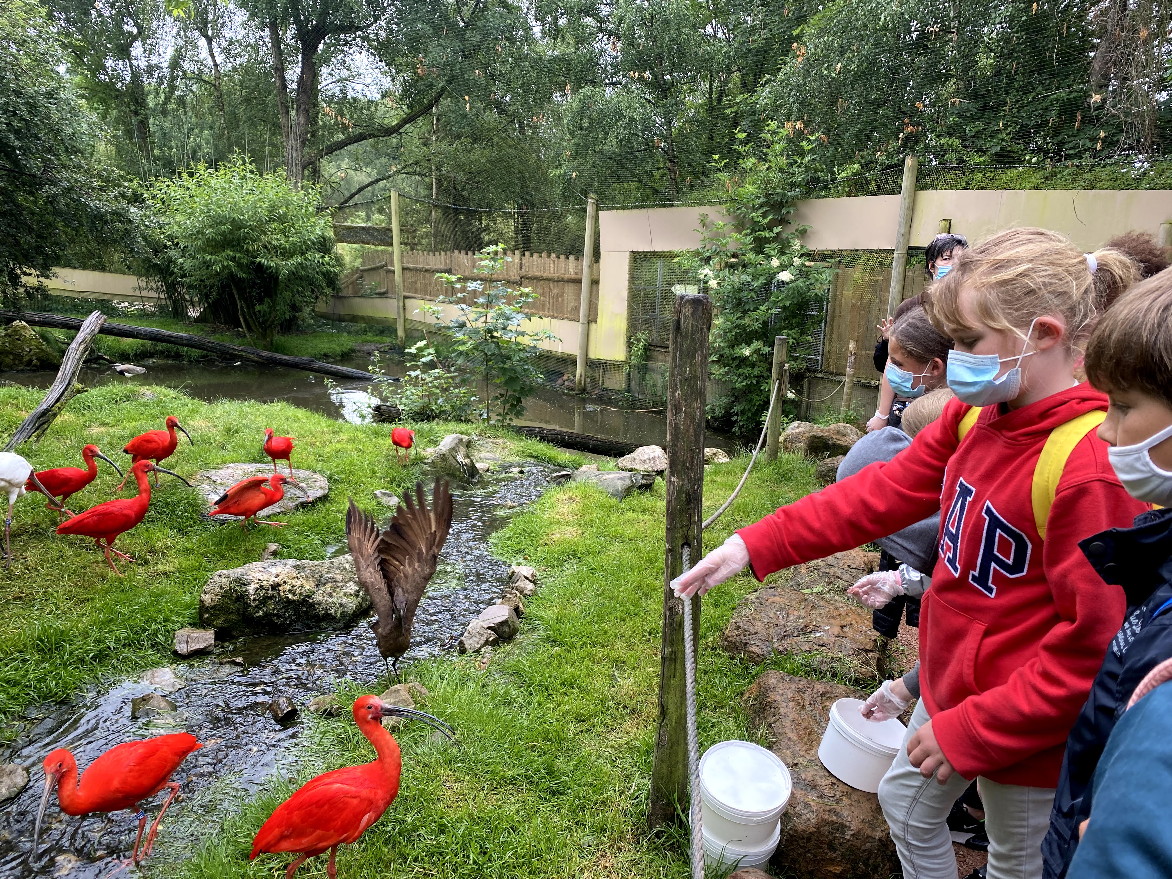 Fin d'année des CM2 Fin d'année des CM2