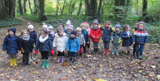 Promenons-nous dans le Bois ... Promenons-nous dans le Bois ...