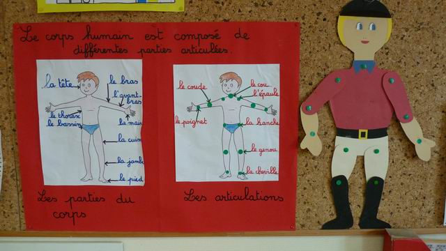 Pantins articulés etenfants articulés