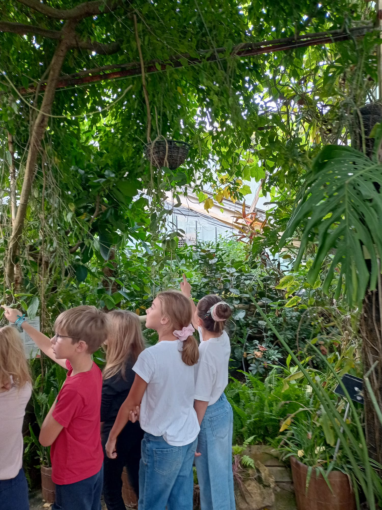 Sortie au Jardin  des Plantes 