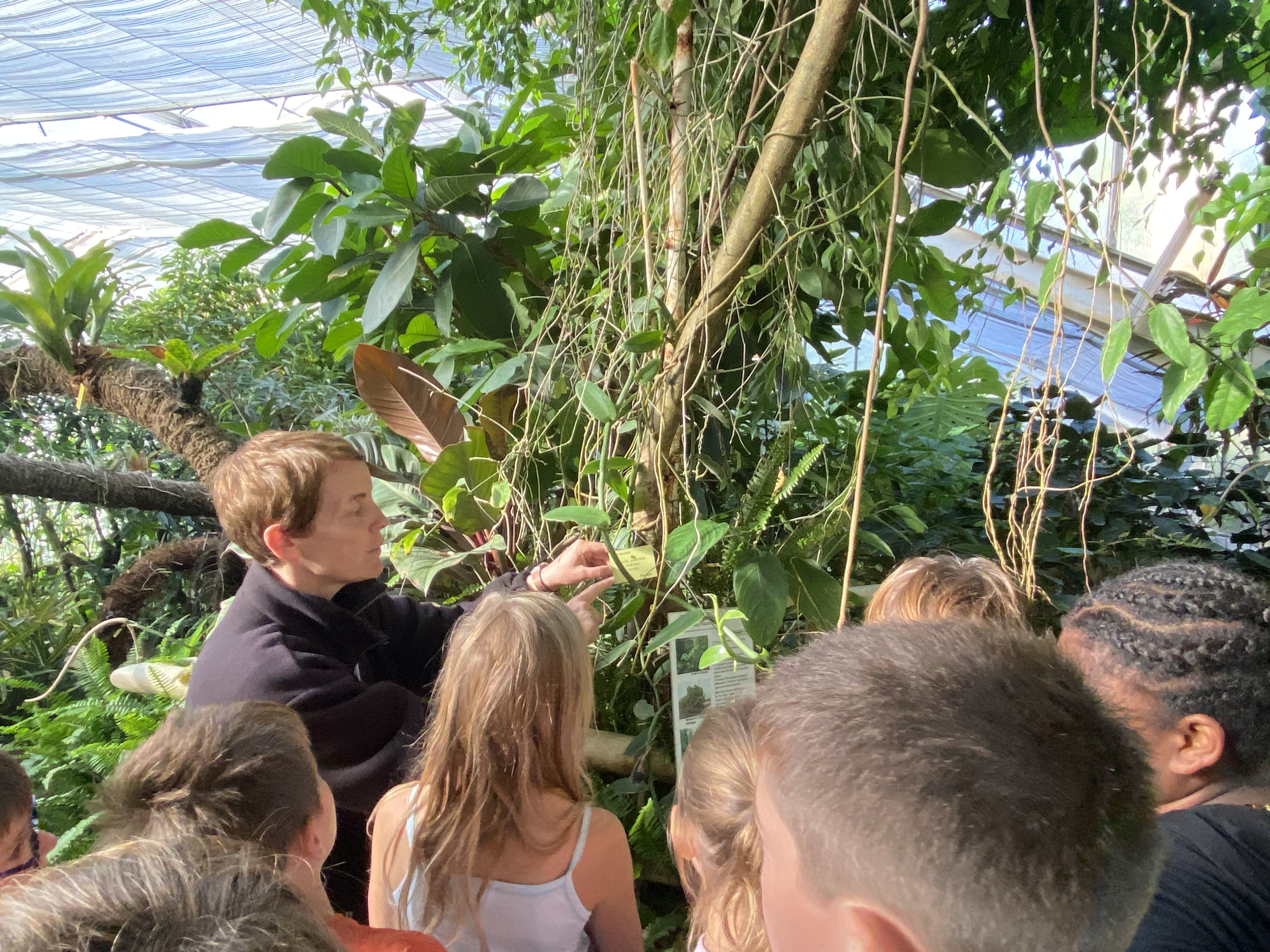 Sortie pédagogique au jardin des plantes