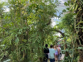 Sortie pédagogique au jardin des plantes