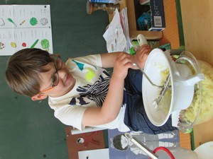 Les pommes de terre Les pommes de terre