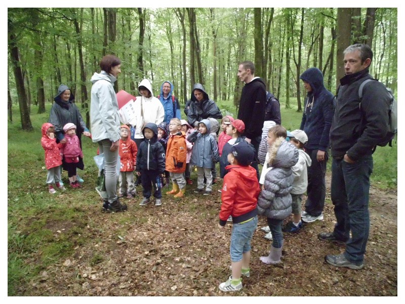 Notre sortie en forêt de Balleroy