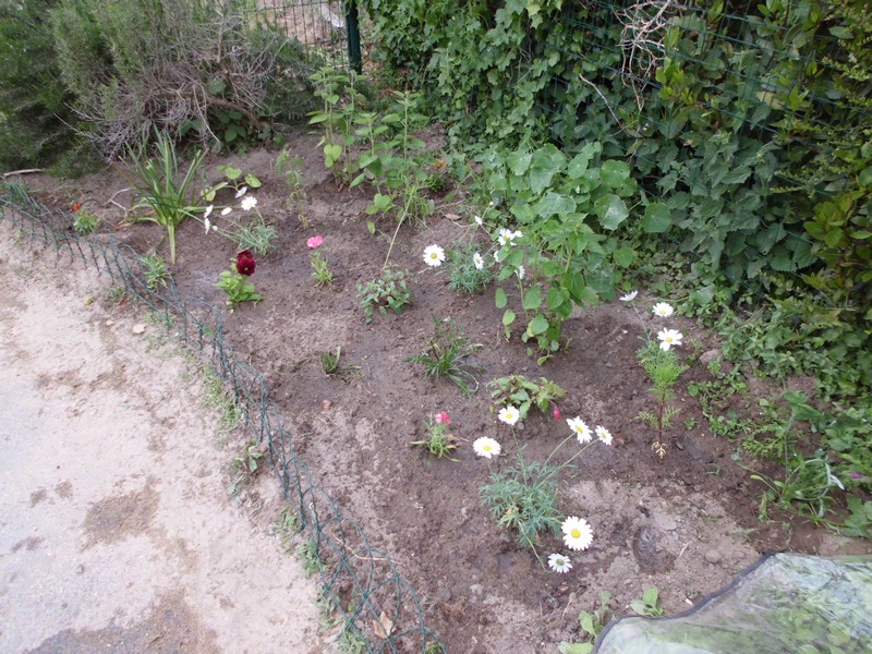 Les jardiniers en herbe