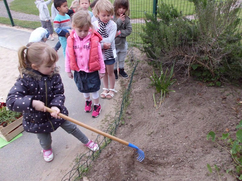 Les jardiniers en herbe