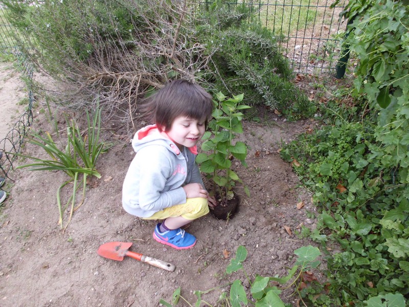 Les jardiniers en herbe