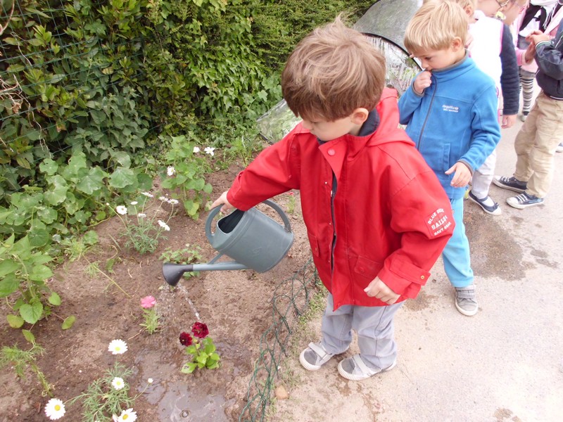 Les jardiniers en herbe