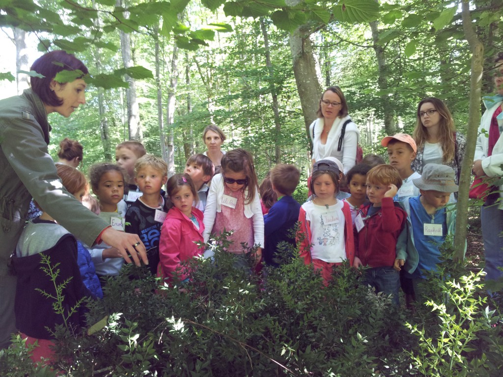 Sortie scolaire à la forêt de Balleroy Sortie scolaire à la forêt de Balleroy