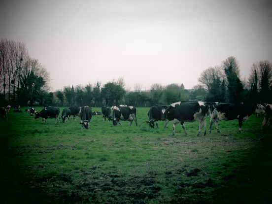 A la découverte de la ferme !