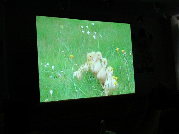 Spectacle pour les Maternelles!  Spectacle pour les Maternelles!