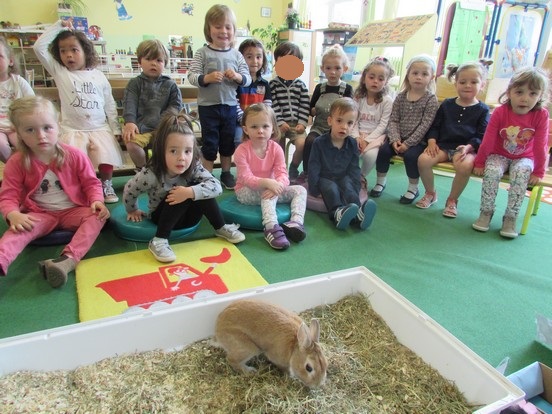 Un lapin à l'école !