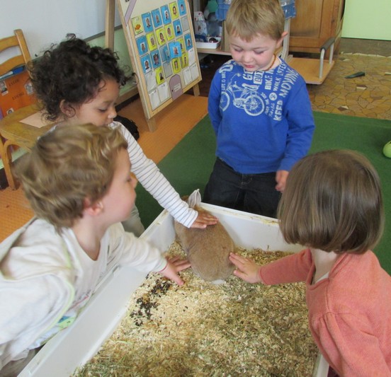 Un lapin à l'école !