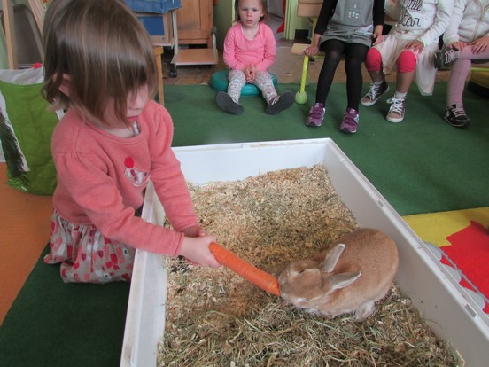 Un lapin à l'école !