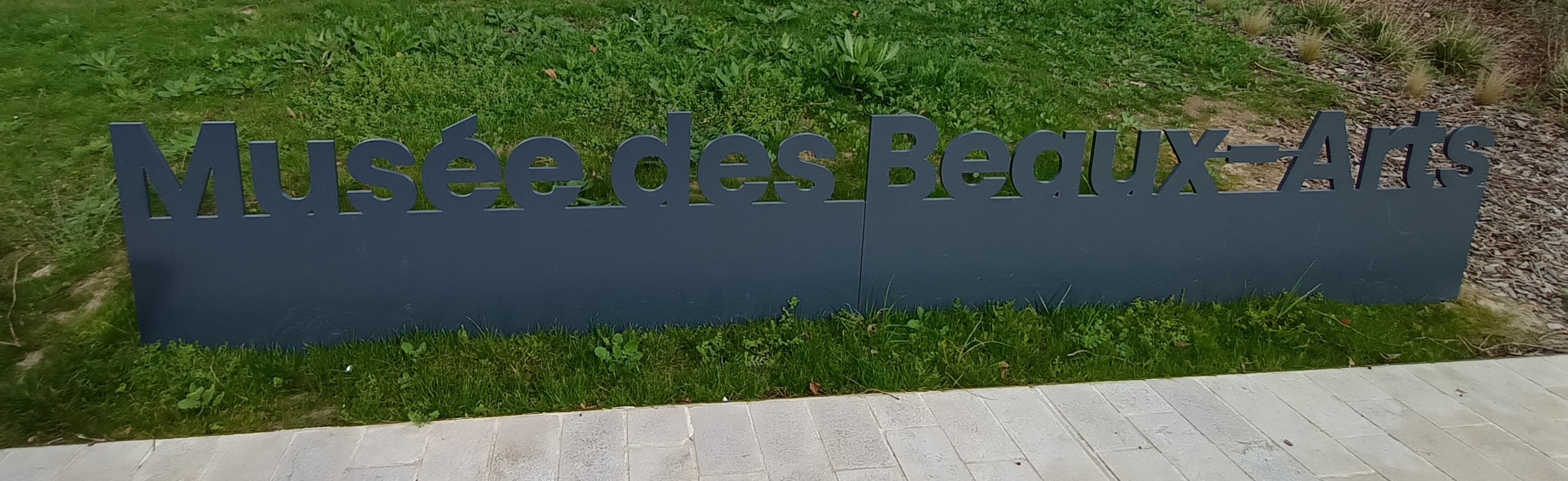 Les MS visitent le musée des Beaux Arts