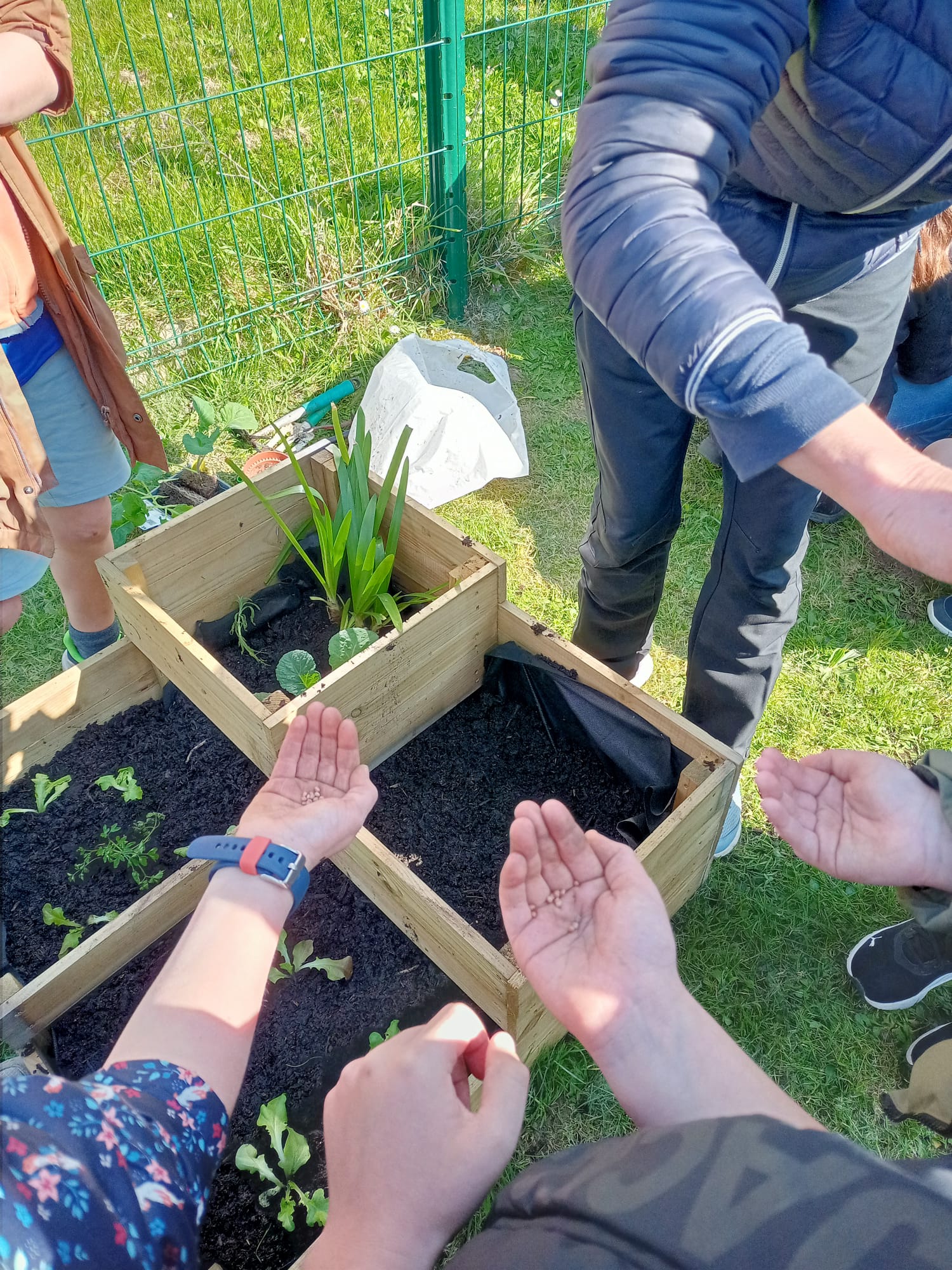 Semaine du jardinage