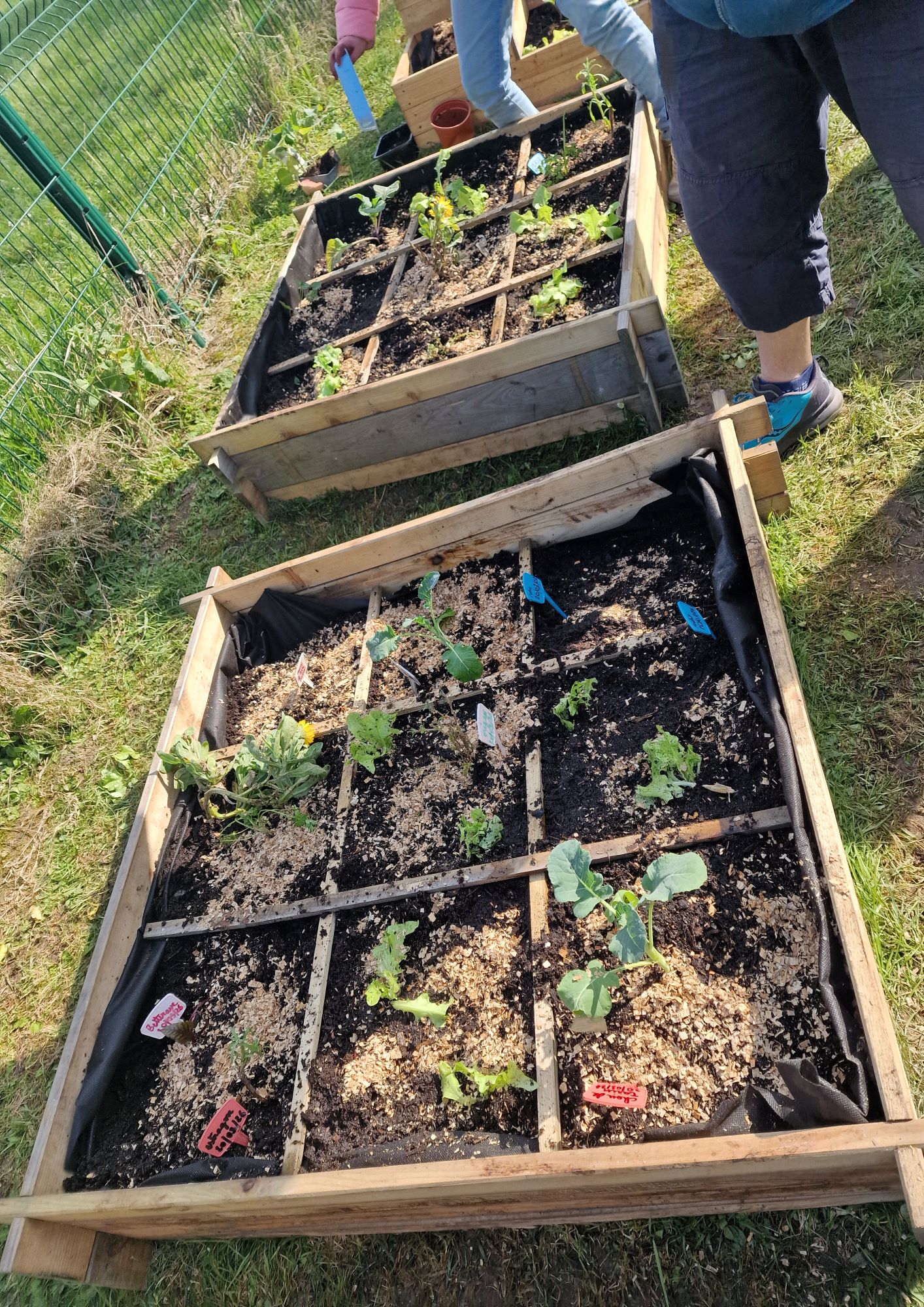 Semaine du jardinage à l'école