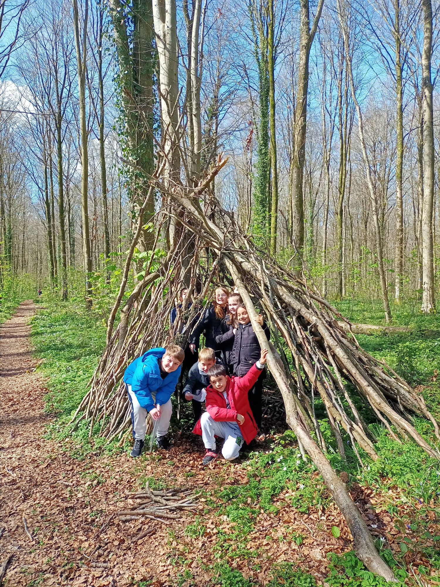 Sortie en forêt de Cerisy