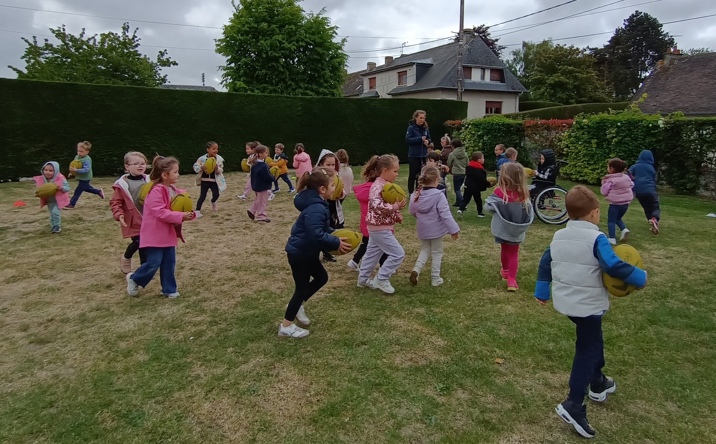 Rugby en MS