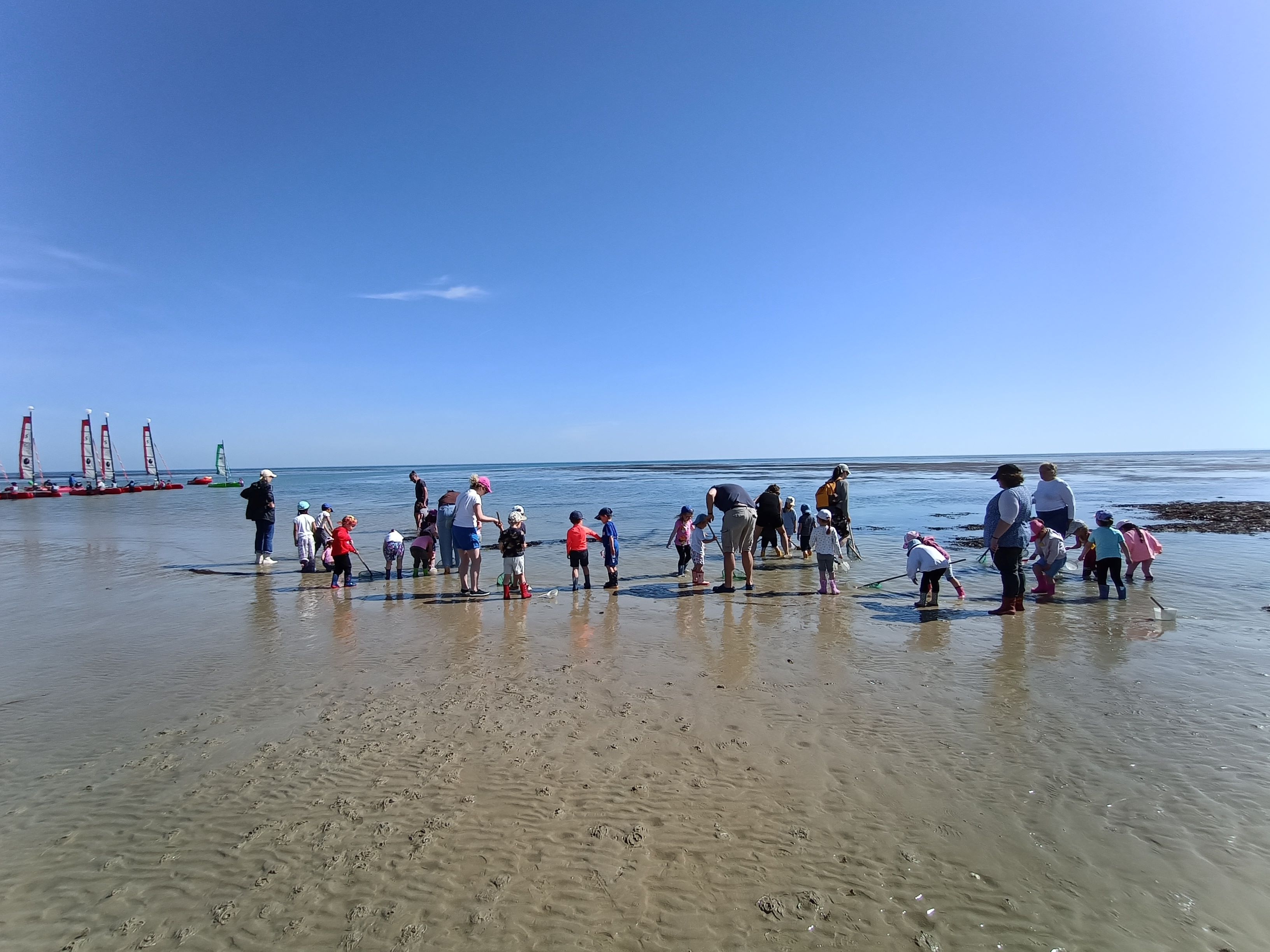 la pêche à pied en MS