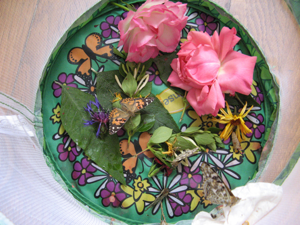 Le grand jour est arrivé ! Le grand jour est arrivé !